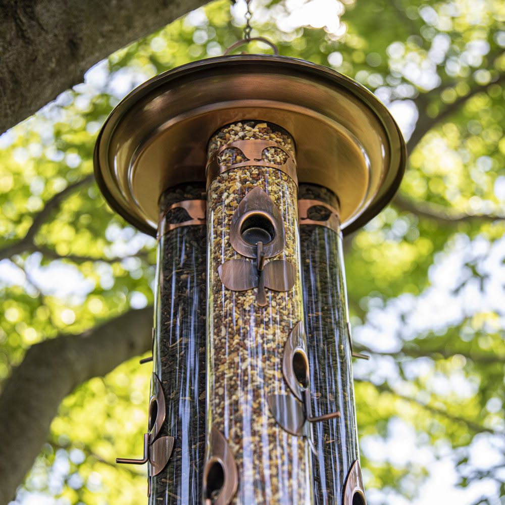 A bird feeder hanging from the side of a tree.