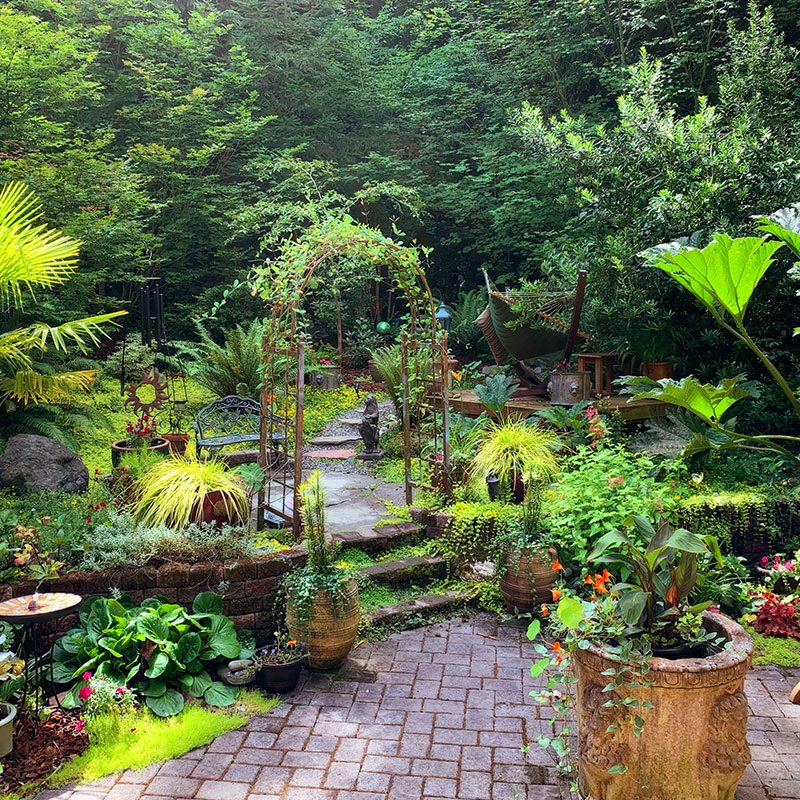 A garden with many plants and trees